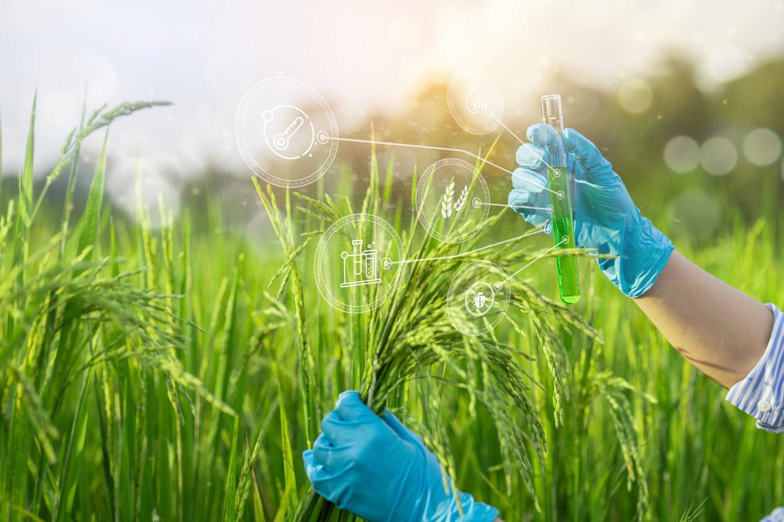 Smart,Farming,Uses,Technology,To,Control,Planting,,Caring,For,Harvesting